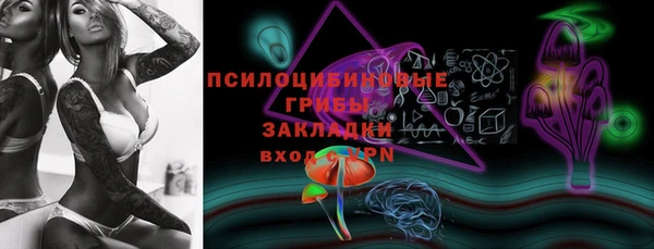 МДПВ Абаза