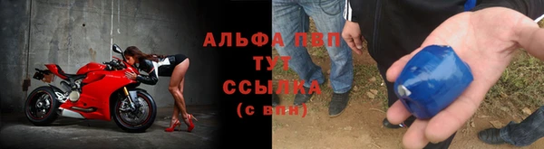 шишки Алзамай